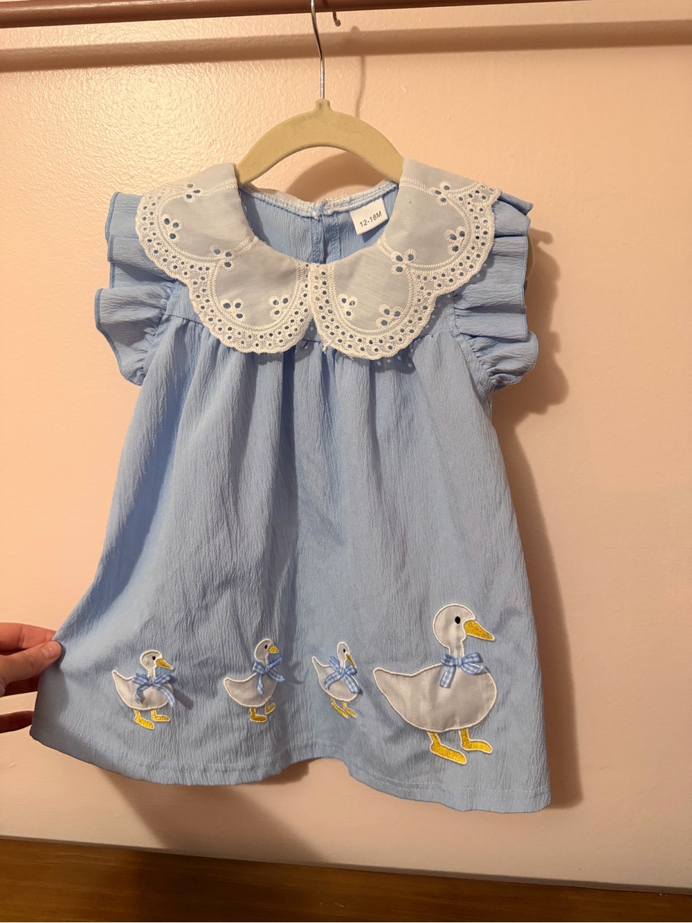 Classic Light Blue Duck Appliqué Kids Dress with Peter Pan Collar